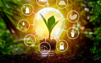 Energias Renováveis e o Futuro